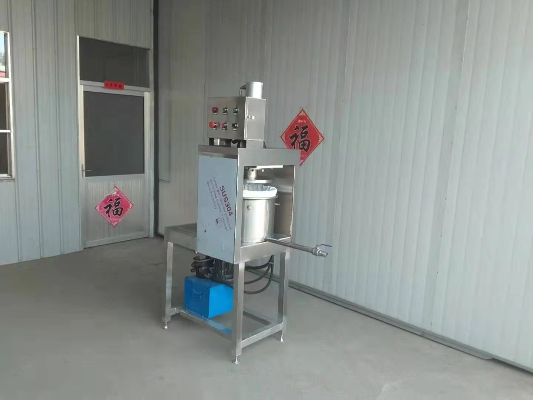 2026Industrial Automatic Grape - Cold Press Juicer ulasan dan harga