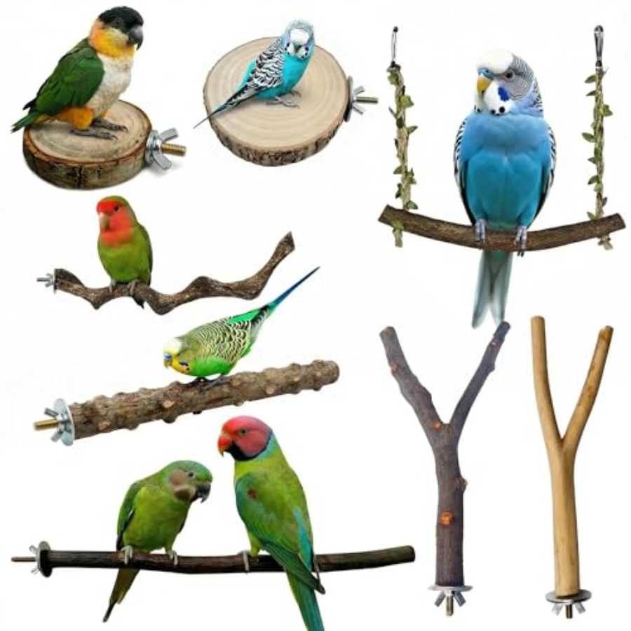 8PCS natural wood bird perches - Health & Wellness Lubbock ulasan dan harga