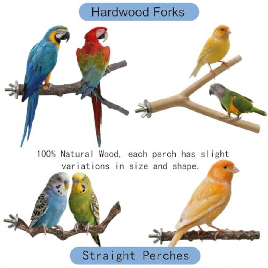 8PCS natural wood bird perches - Health & Wellness Lubbock ulasan dan harga