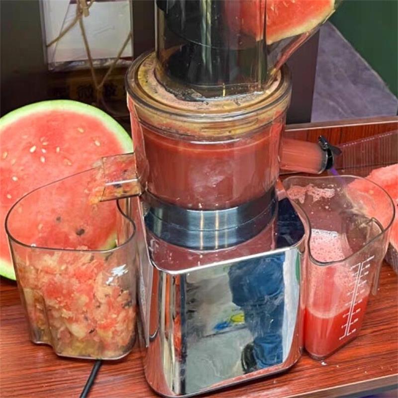 500W Commercial Use Home Use S - Cold Press Juicer ulasan dan harga