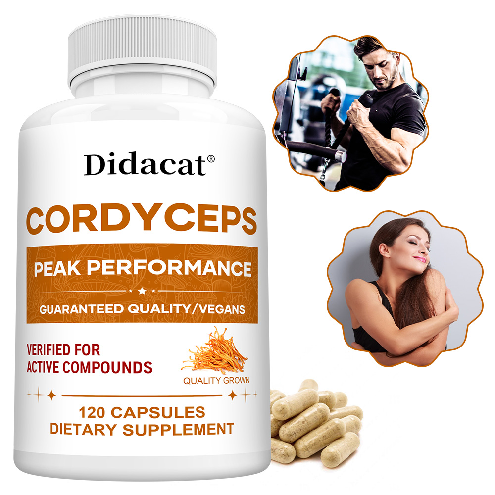 Cordyceps Mushroom Capsules 10 - Health Wellness & Psychology ulasan dan harga