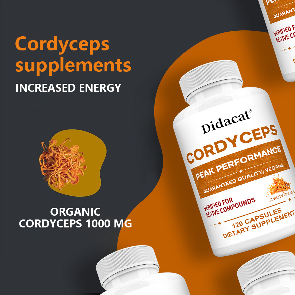 Cordyceps Mushroom Capsules 10 - Health Wellness & Psychology ulasan dan harga