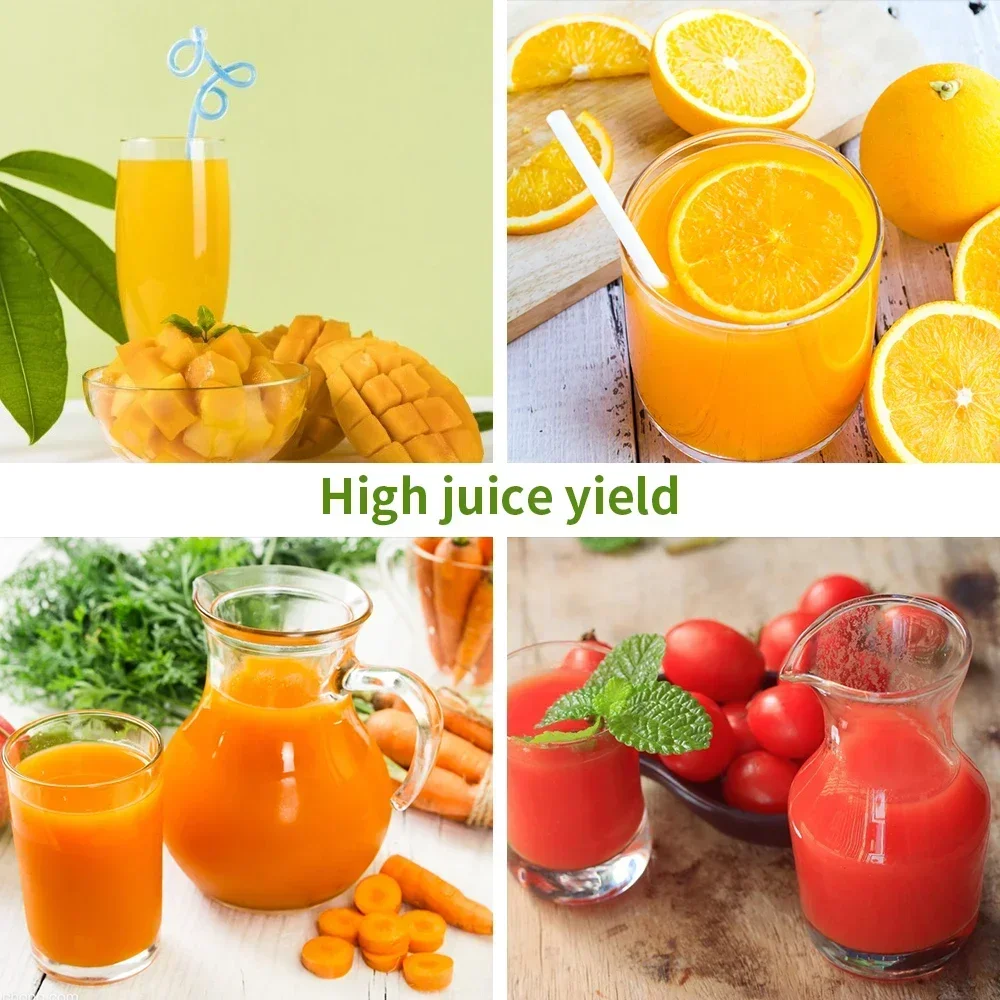 250W Slow Cold Press Fruit Jui - Cold Press Juicer ulasan dan harga